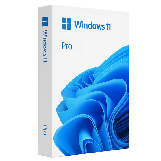 Windows 11 Pro